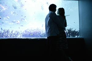 早稲田大学卒の優れたコミュニケーションスキルを活かす！効率的な婚活サポート方法
